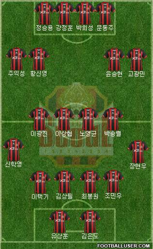 FC Seoul Formation 2013