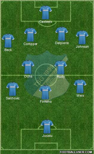 TSG 1899 Hoffenheim Formation 2013