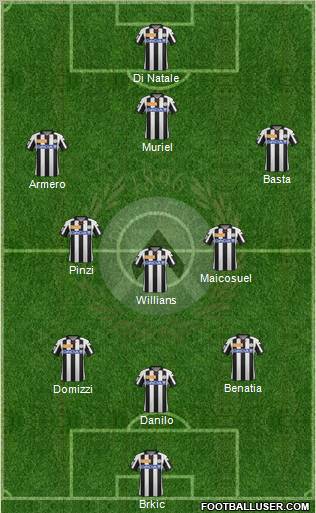 Udinese Formation 2013