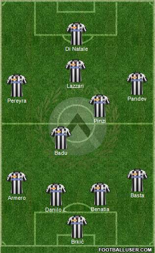 Udinese Formation 2013