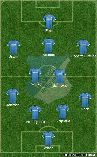 TSG 1899 Hoffenheim Formation 2013