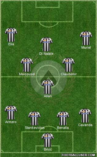 Udinese Formation 2013