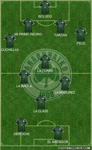 Panathinaikos AO Formation 2013