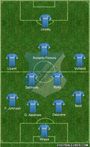 TSG 1899 Hoffenheim Formation 2013