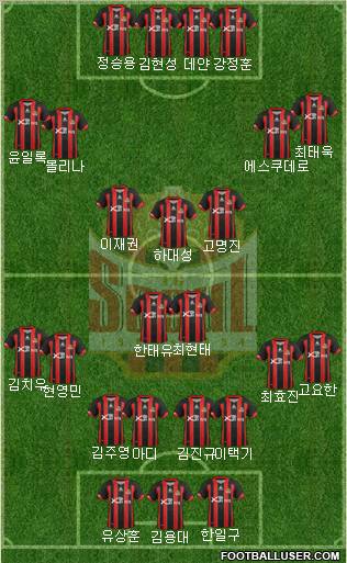 FC Seoul Formation 2013