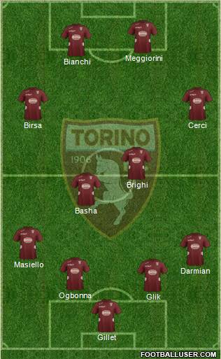 Torino Formation 2013