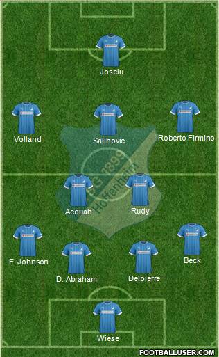 TSG 1899 Hoffenheim Formation 2013