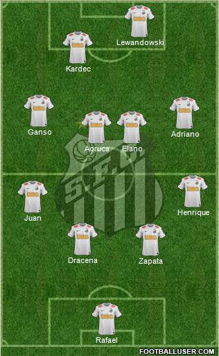 Santos FC Formation 2013