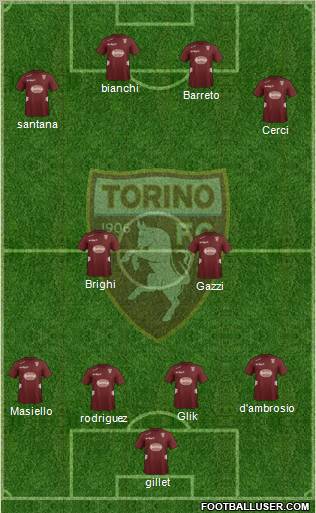 Torino Formation 2013