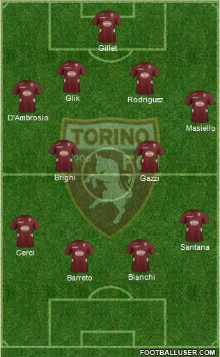 Torino Formation 2013