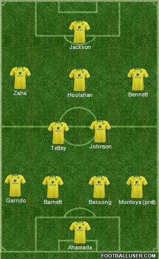 Norwich City Formation 2013