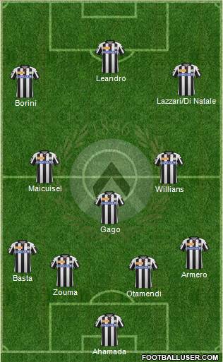 Udinese Formation 2013