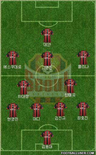 FC Seoul Formation 2013