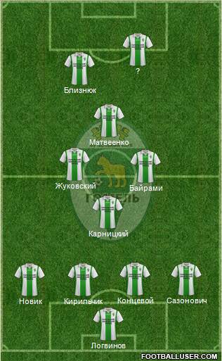 FC Gomel Formation 2013