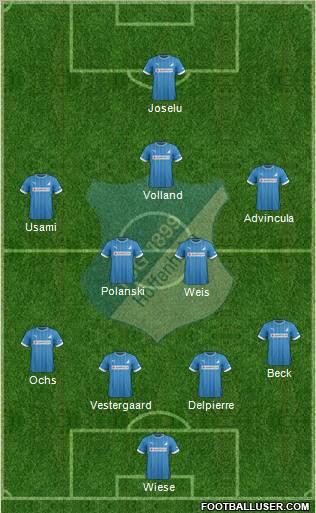 TSG 1899 Hoffenheim Formation 2013