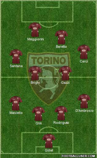 Torino Formation 2013