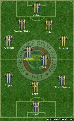 Fenerbahçe SK Formation 2013