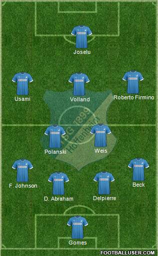 TSG 1899 Hoffenheim Formation 2013