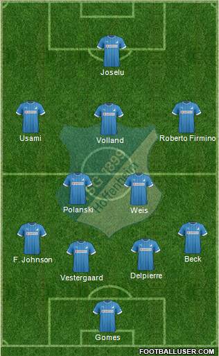 TSG 1899 Hoffenheim Formation 2013