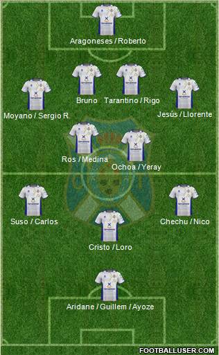 C.D. Tenerife S.A.D. Formation 2013