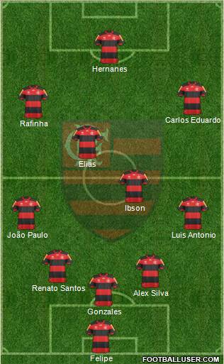 CR Flamengo Formation 2013