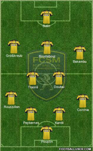 FC Sochaux-Montbéliard Formation 2013