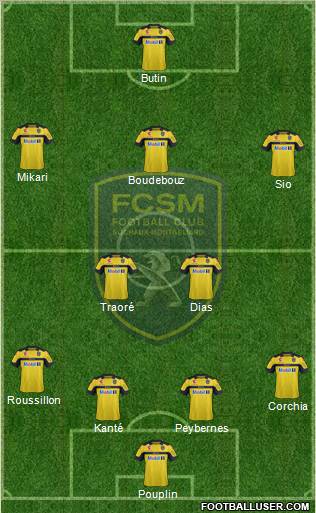 FC Sochaux-Montbéliard Formation 2013