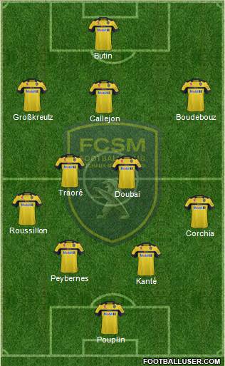 FC Sochaux-Montbéliard Formation 2013