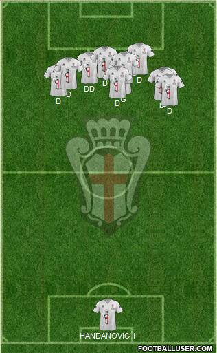 Pro Vercelli Formation 2013