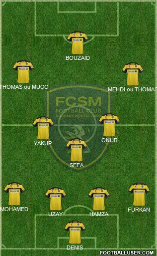 FC Sochaux-Montbéliard Formation 2013