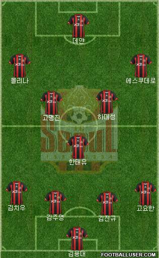 FC Seoul Formation 2013