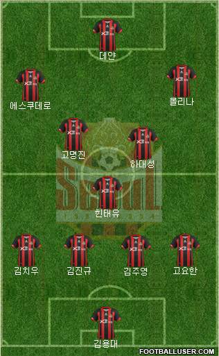 FC Seoul Formation 2013