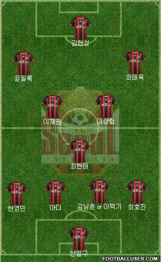 FC Seoul Formation 2013