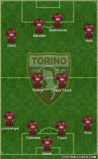 Torino Formation 2013