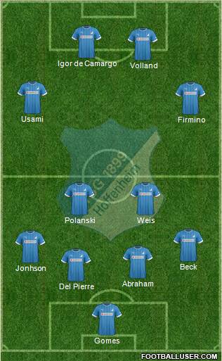 TSG 1899 Hoffenheim Formation 2013