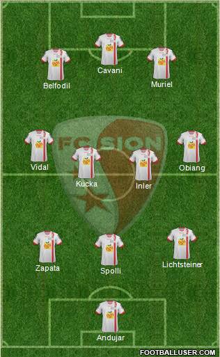 FC Sion Formation 2013