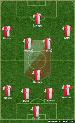 FK Vojvodina Novi Sad Formation 2013