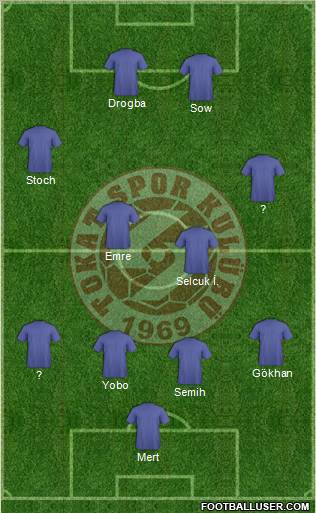 Tokatspor Formation 2013