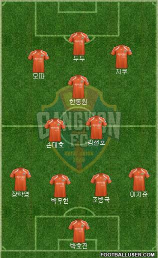 Gangwon FC Formation 2013