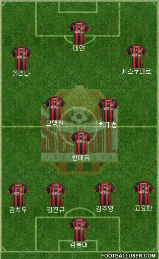 FC Seoul Formation 2013