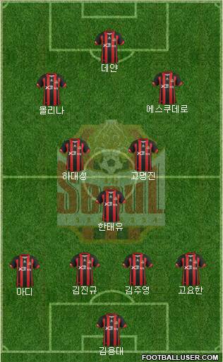 FC Seoul Formation 2013