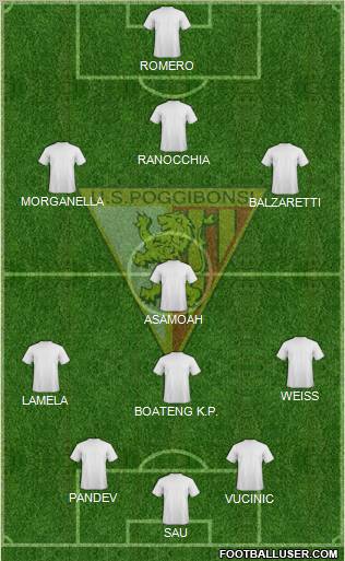 Poggibonsi Formation 2013