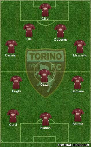 Torino Formation 2013