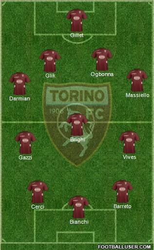 Torino Formation 2013