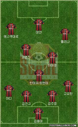 FC Seoul Formation 2013