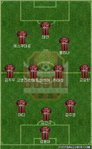 FC Seoul Formation 2013