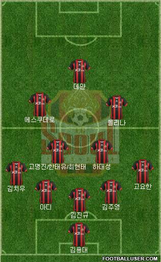 FC Seoul Formation 2013