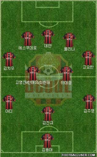 FC Seoul Formation 2013