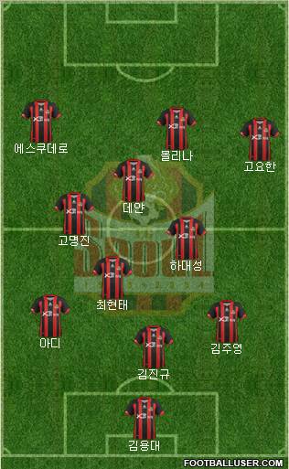 FC Seoul Formation 2013