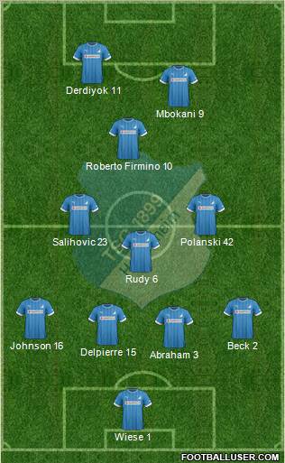 TSG 1899 Hoffenheim Formation 2013